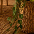 Seagrass Plant Basket