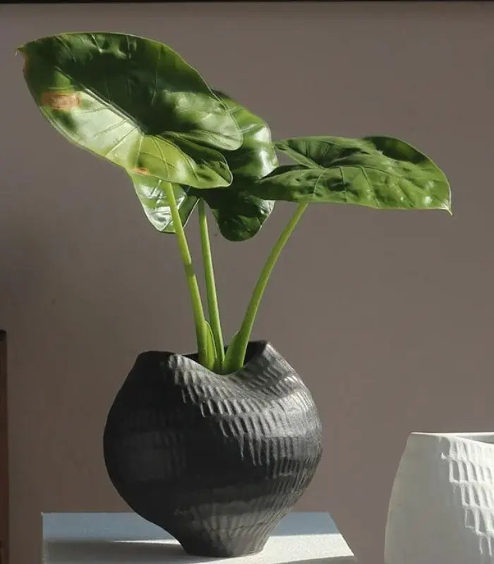 1205 Ripple Ceramic Vase – Textured Sculptural Design Black