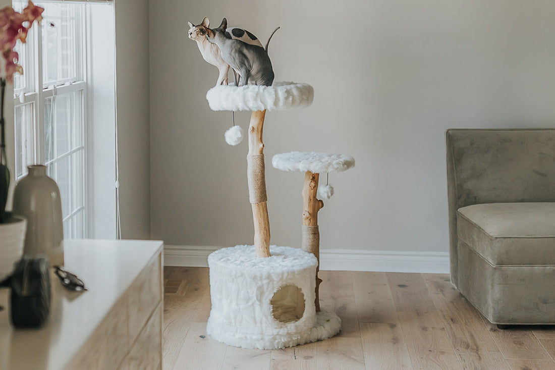 Natural Branch Cat Tree