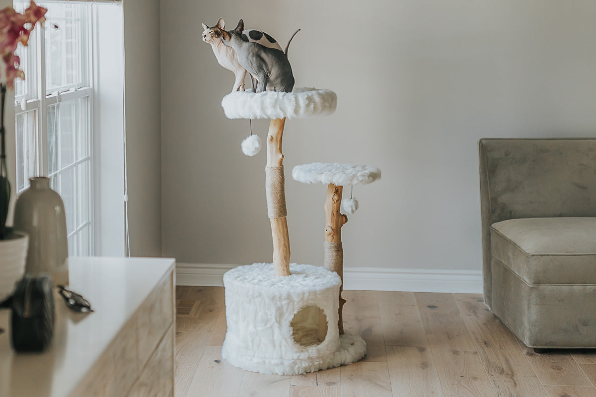 Natural Branch Cat Tree