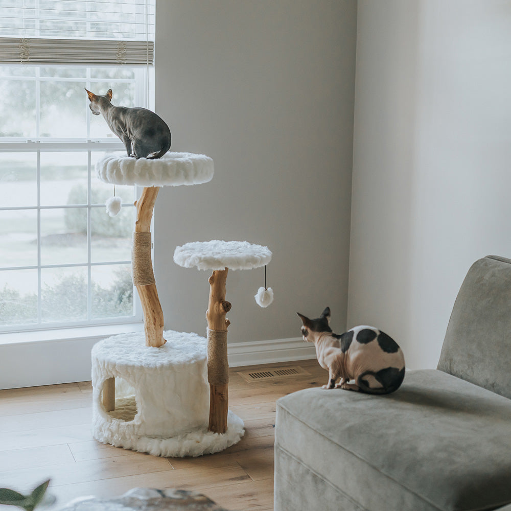 Natural Branch Cat Tree