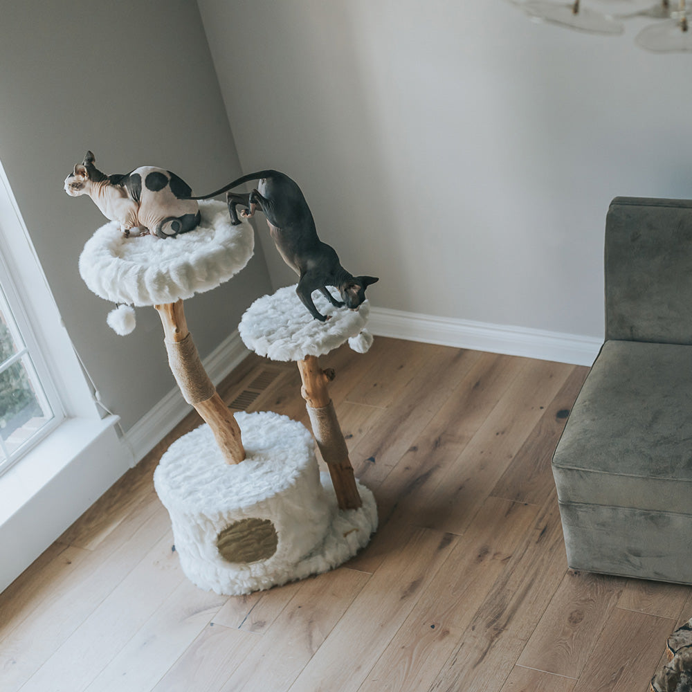 Natural Branch Cat Tree
