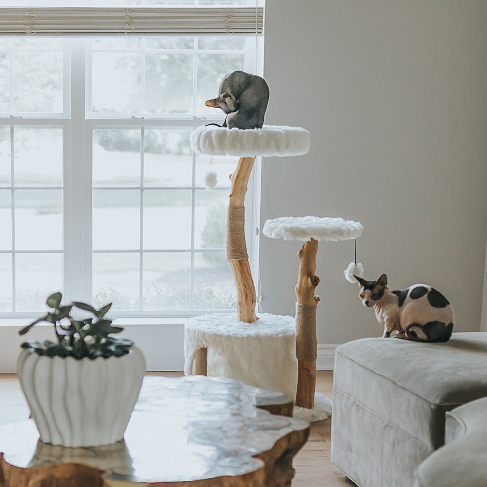 Natural Branch Cat Tree