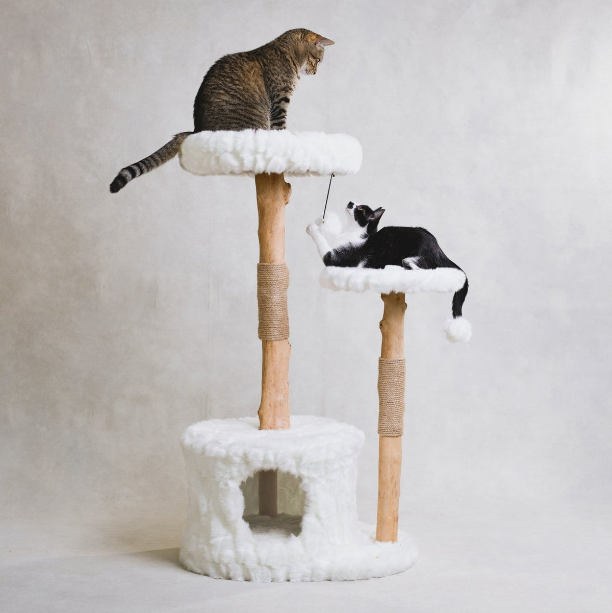Natural Branch Cat Tree