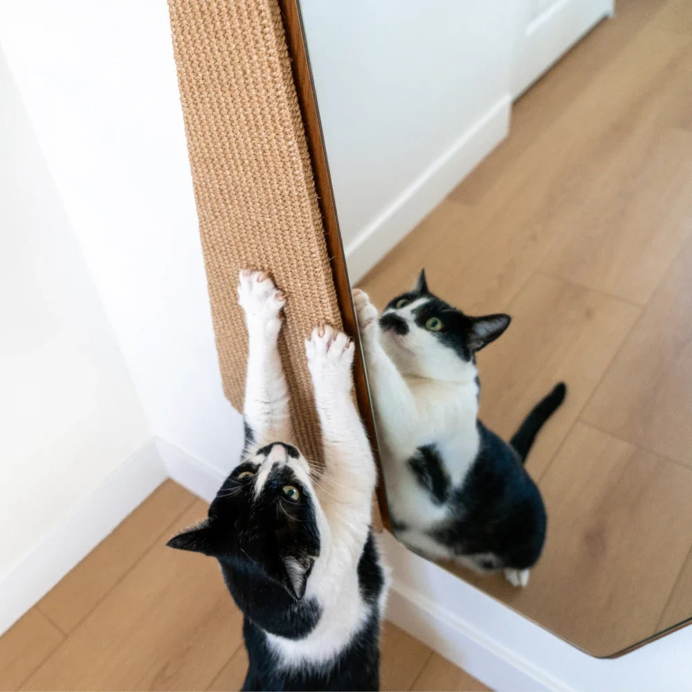 Axis Scratcher