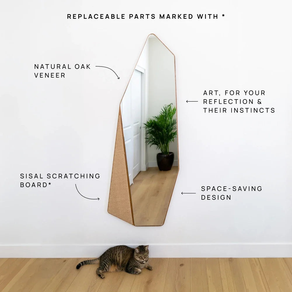 Axis Scratcher