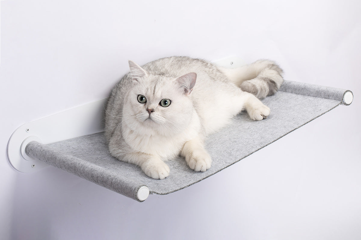 Floating Wall Cat Shelf