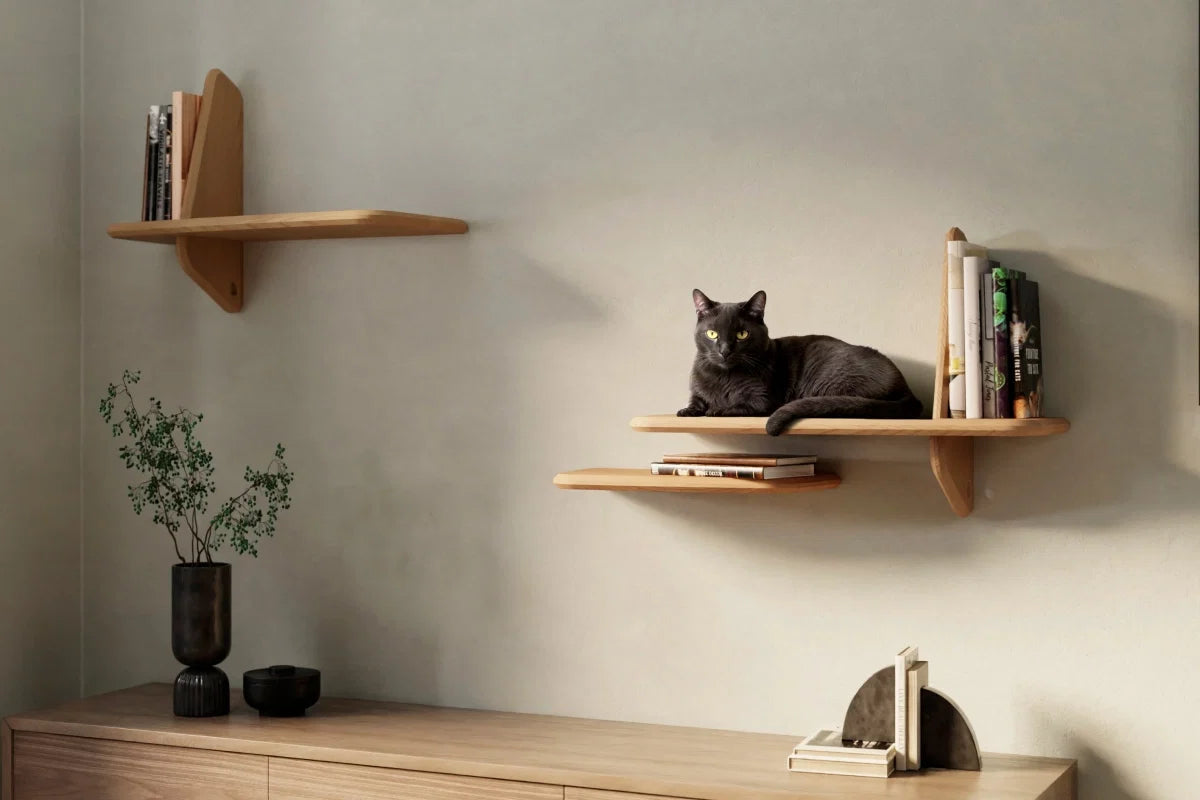 Pebble Cat Bed Set