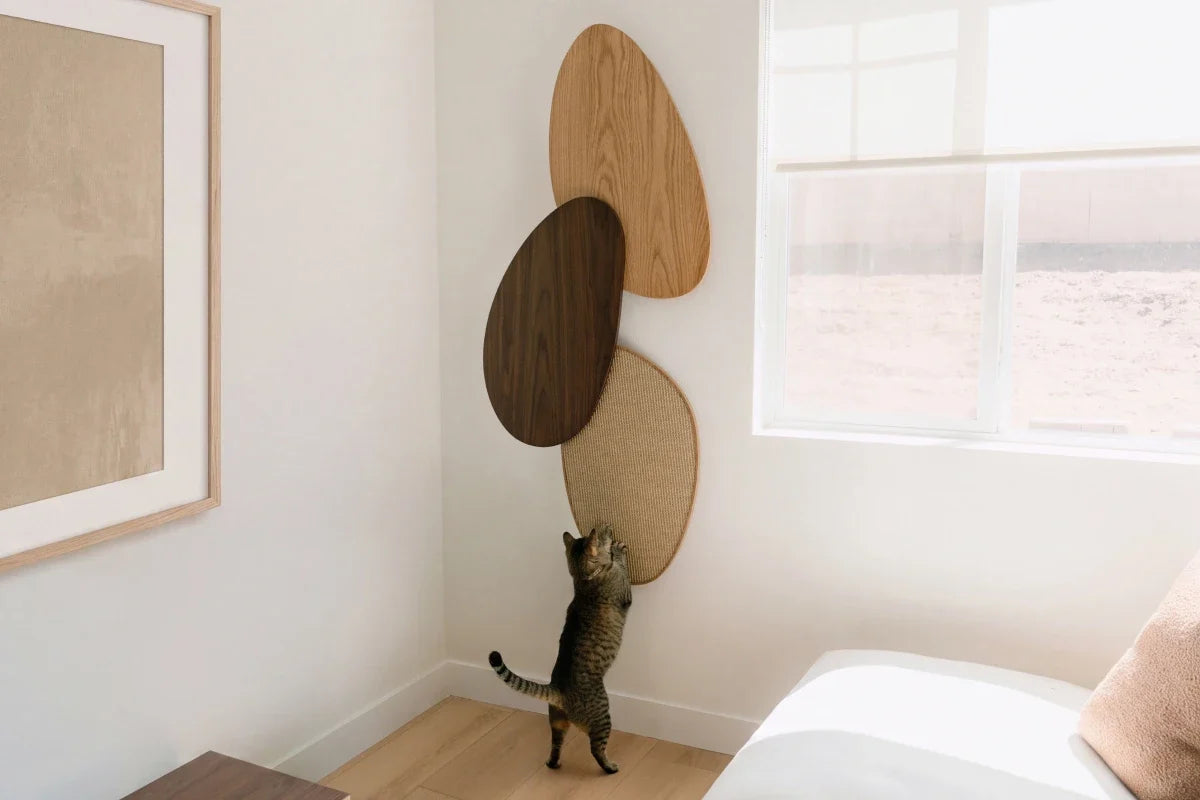 Pietra Scratcher