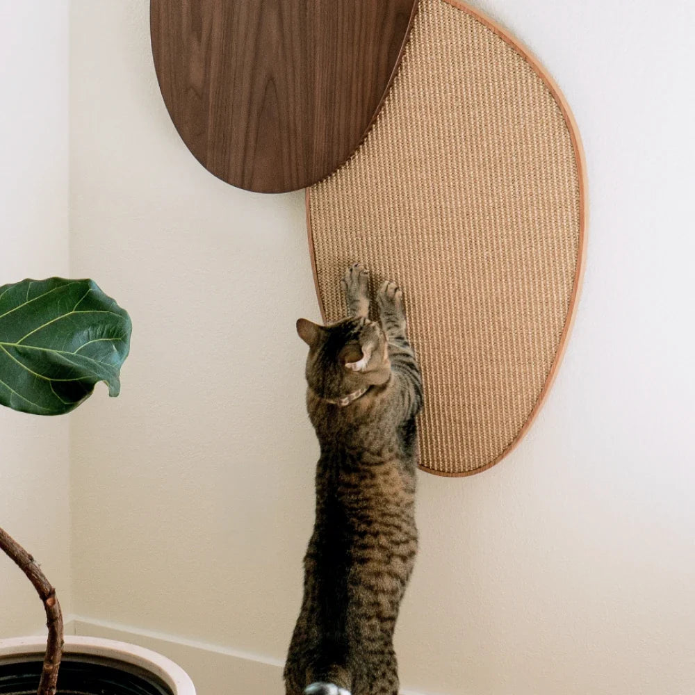 Pietra Scratcher