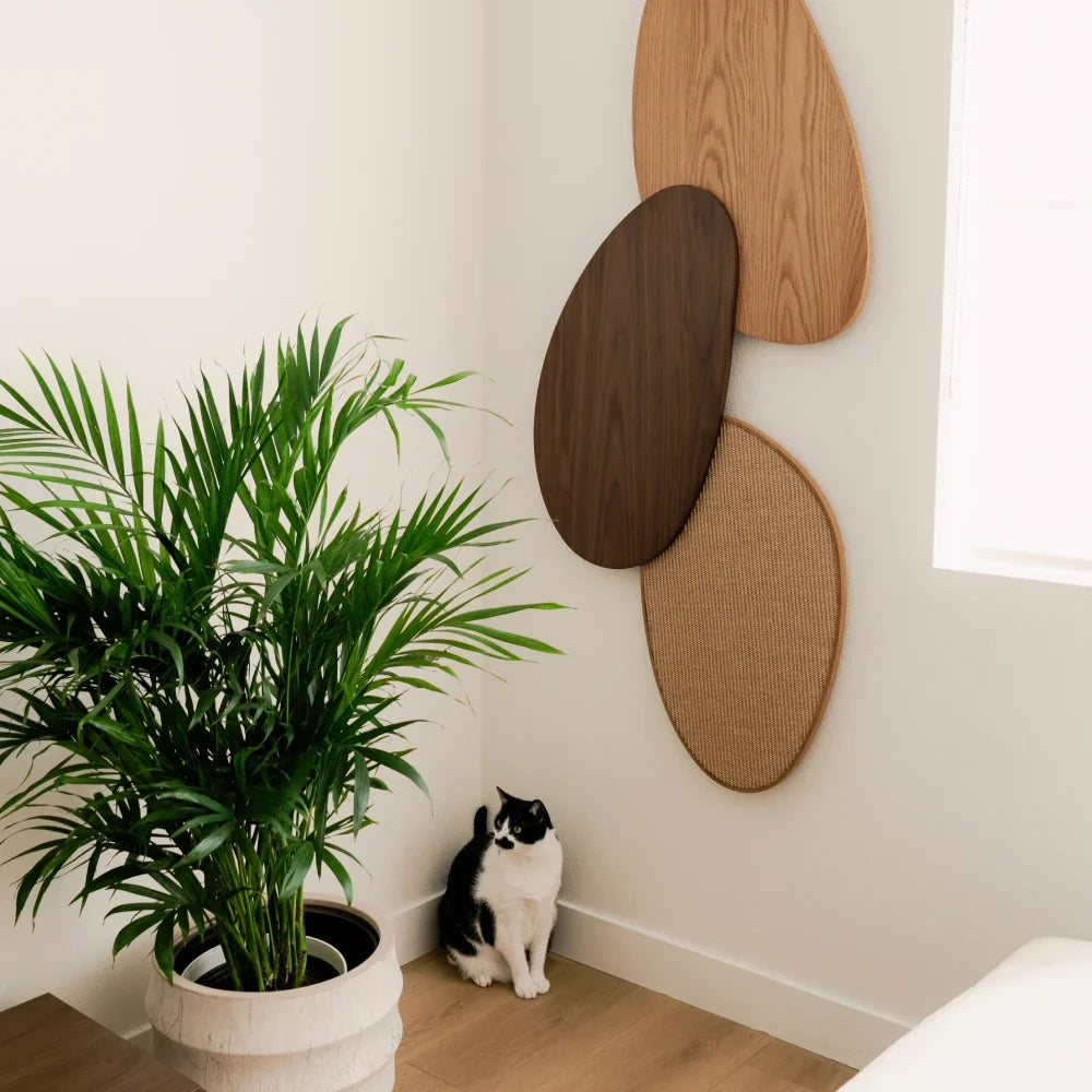 Pietra Scratcher
