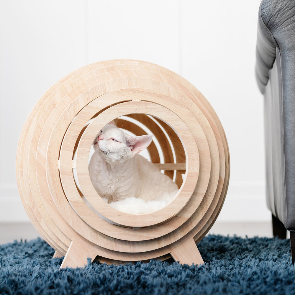 Wooden Cat Bed Frame