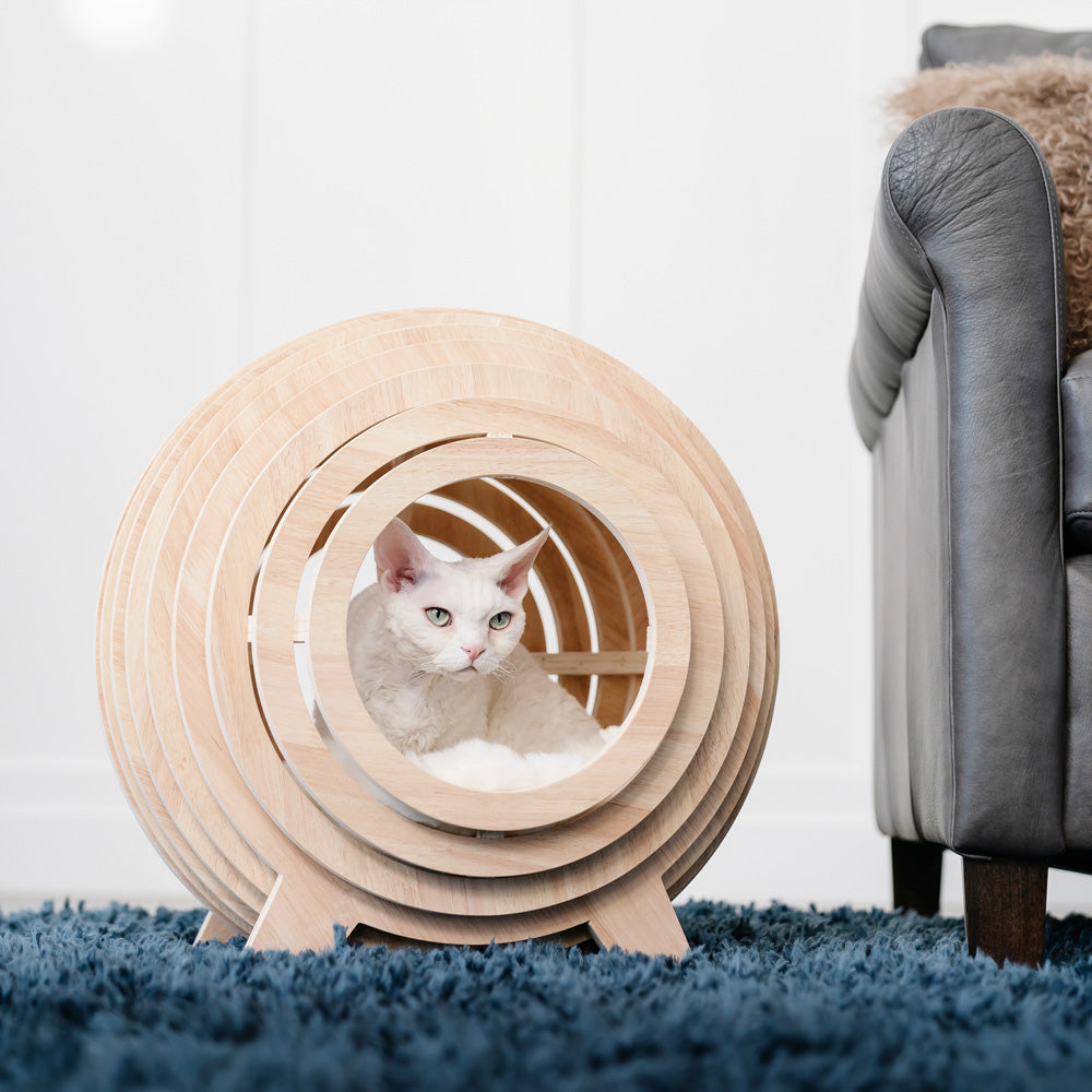Wooden Cat Bed Frame
