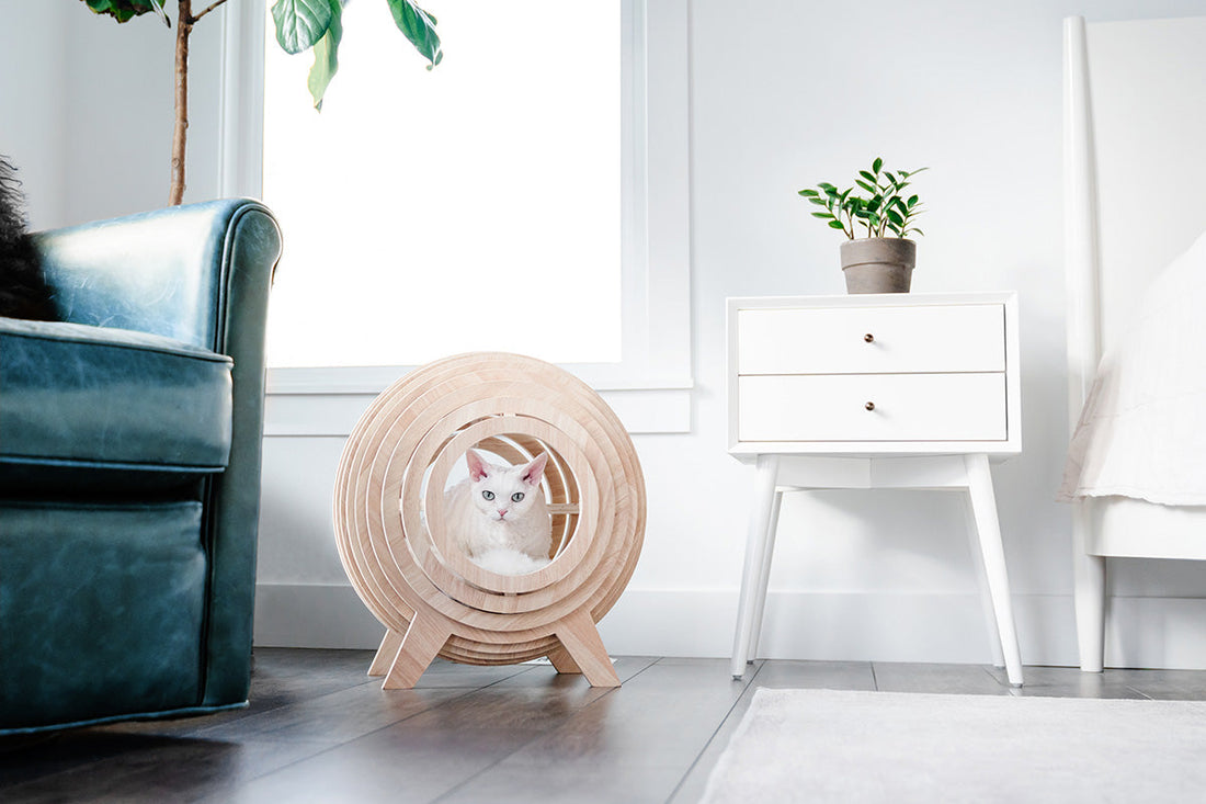 Wooden Cat Bed Frame