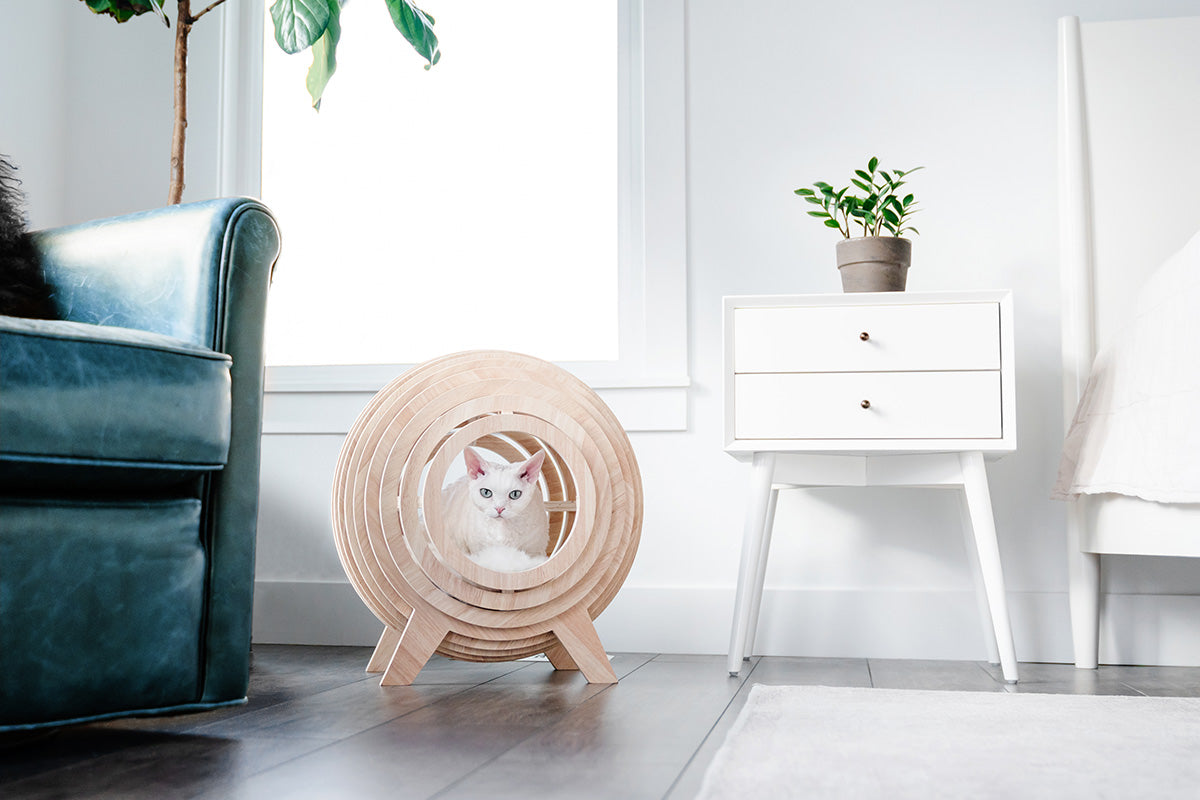 Wooden Cat Bed Frame