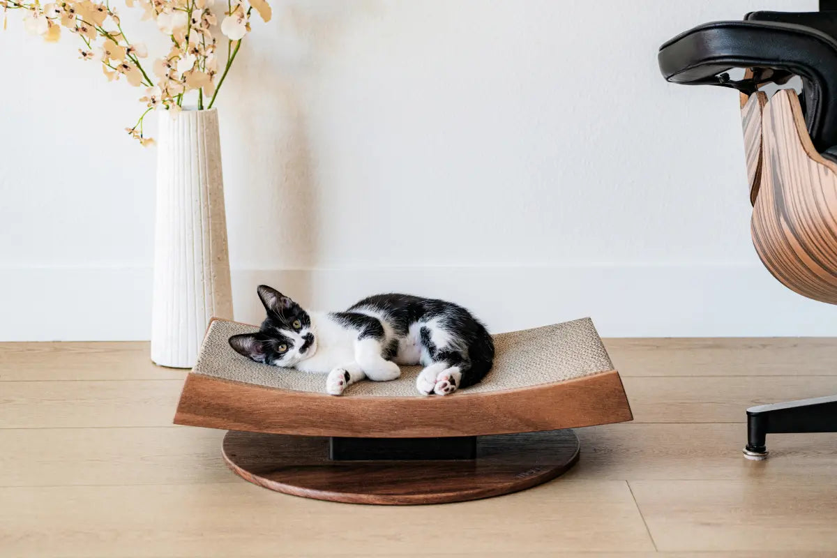 Arch Cat Scratcher