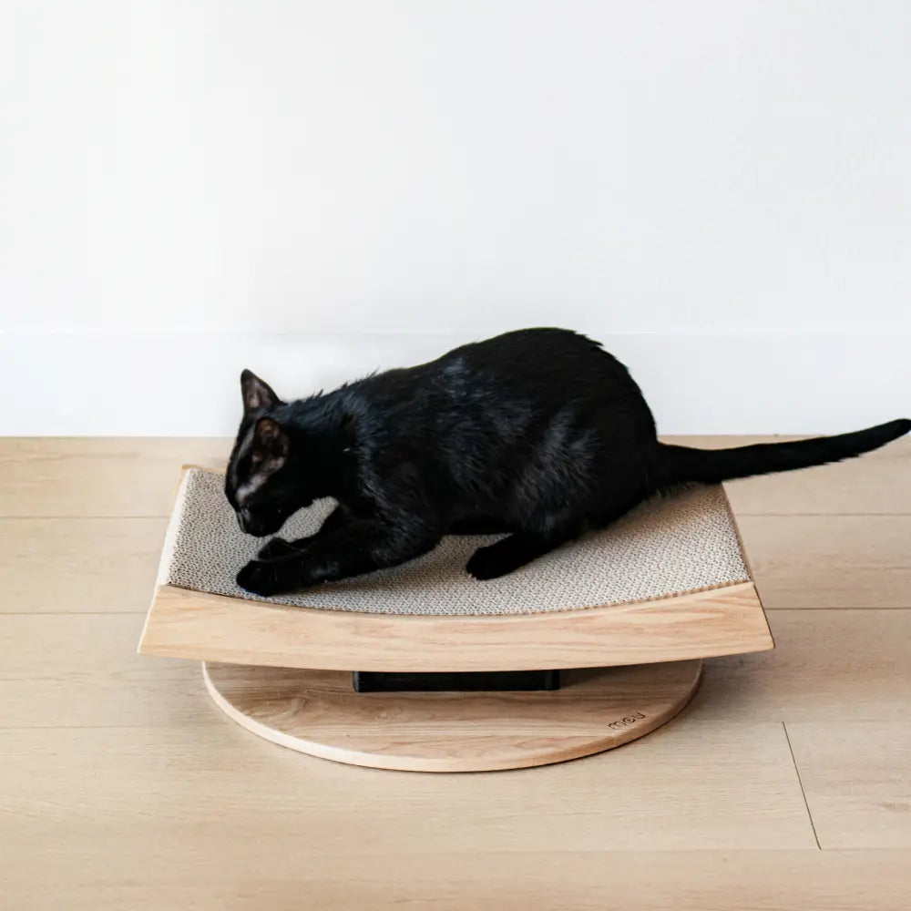 Arch Cat Scratcher