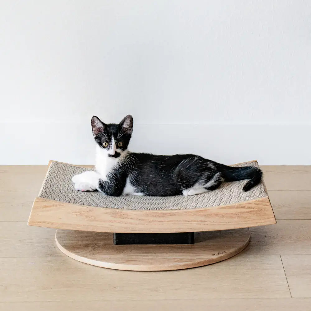 Arch Cat Scratcher