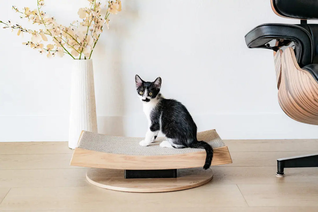 Arch Cat Scratcher