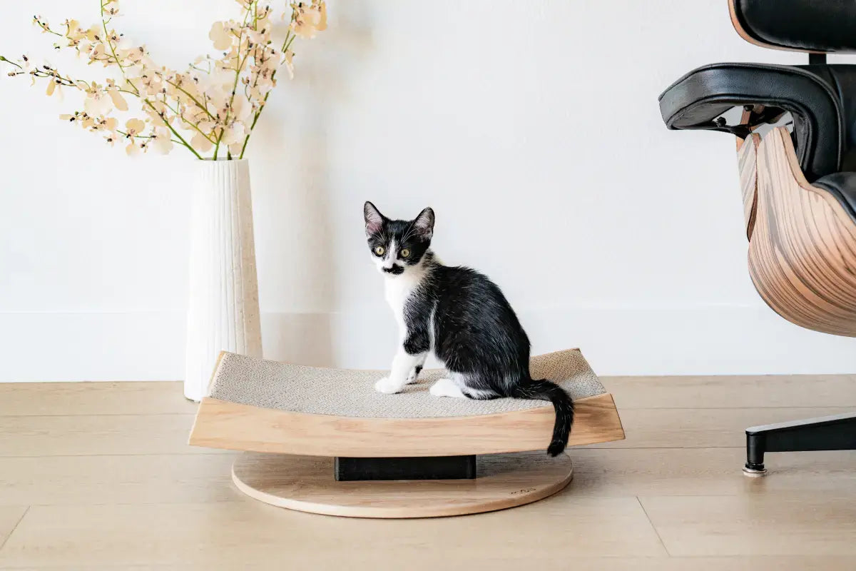 Arch Cat Scratcher