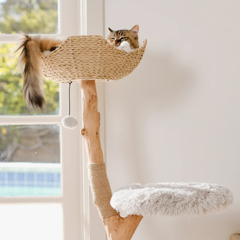 Woven Basket Cat Tree