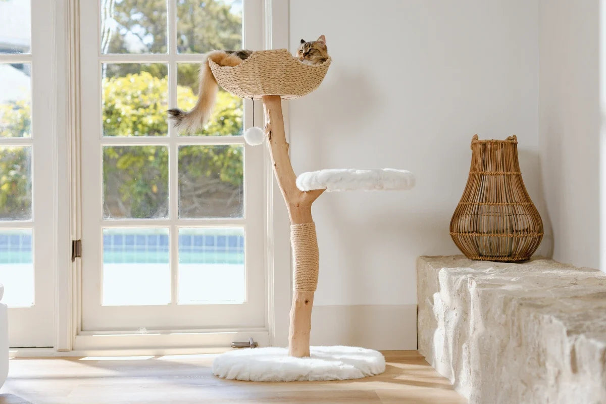 Woven Basket Cat Tree