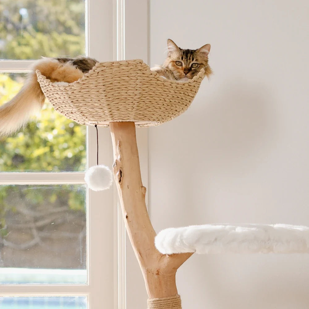 Woven Basket Cat Tree