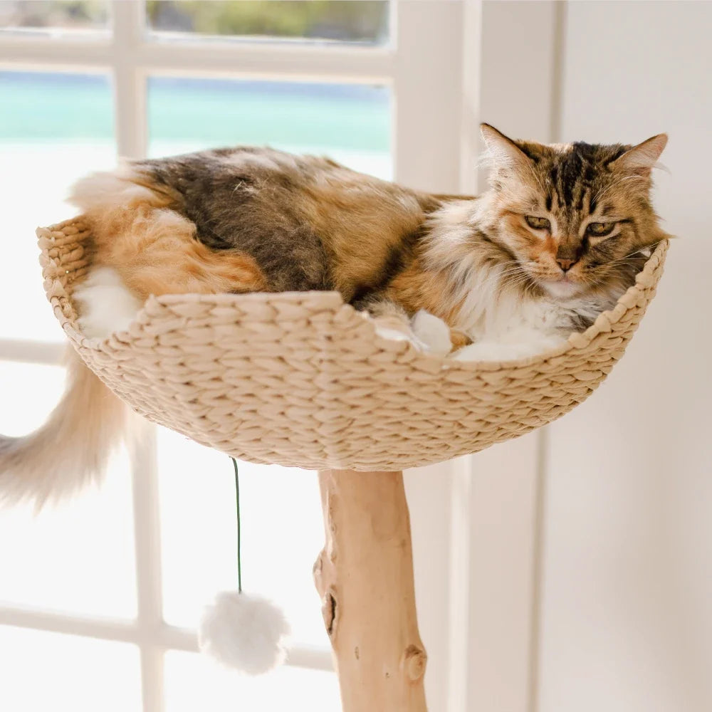 Woven Basket Cat Tree