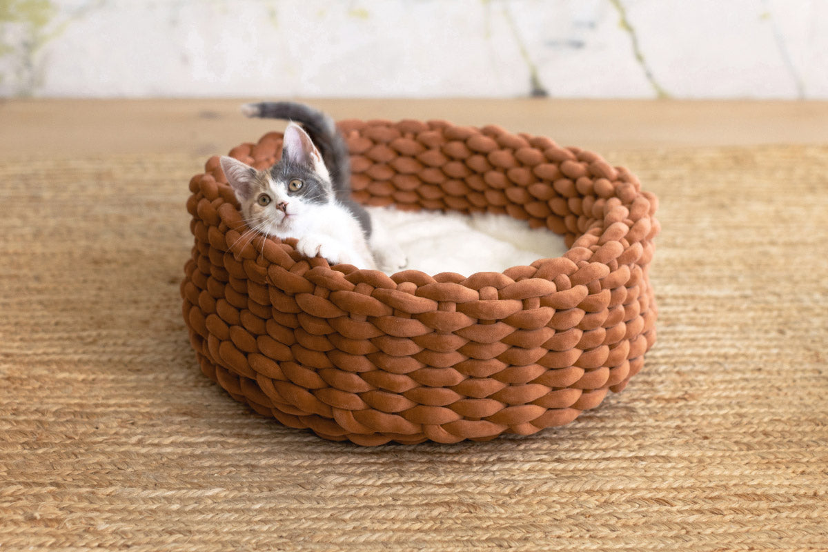 Elevated Cat Bed
