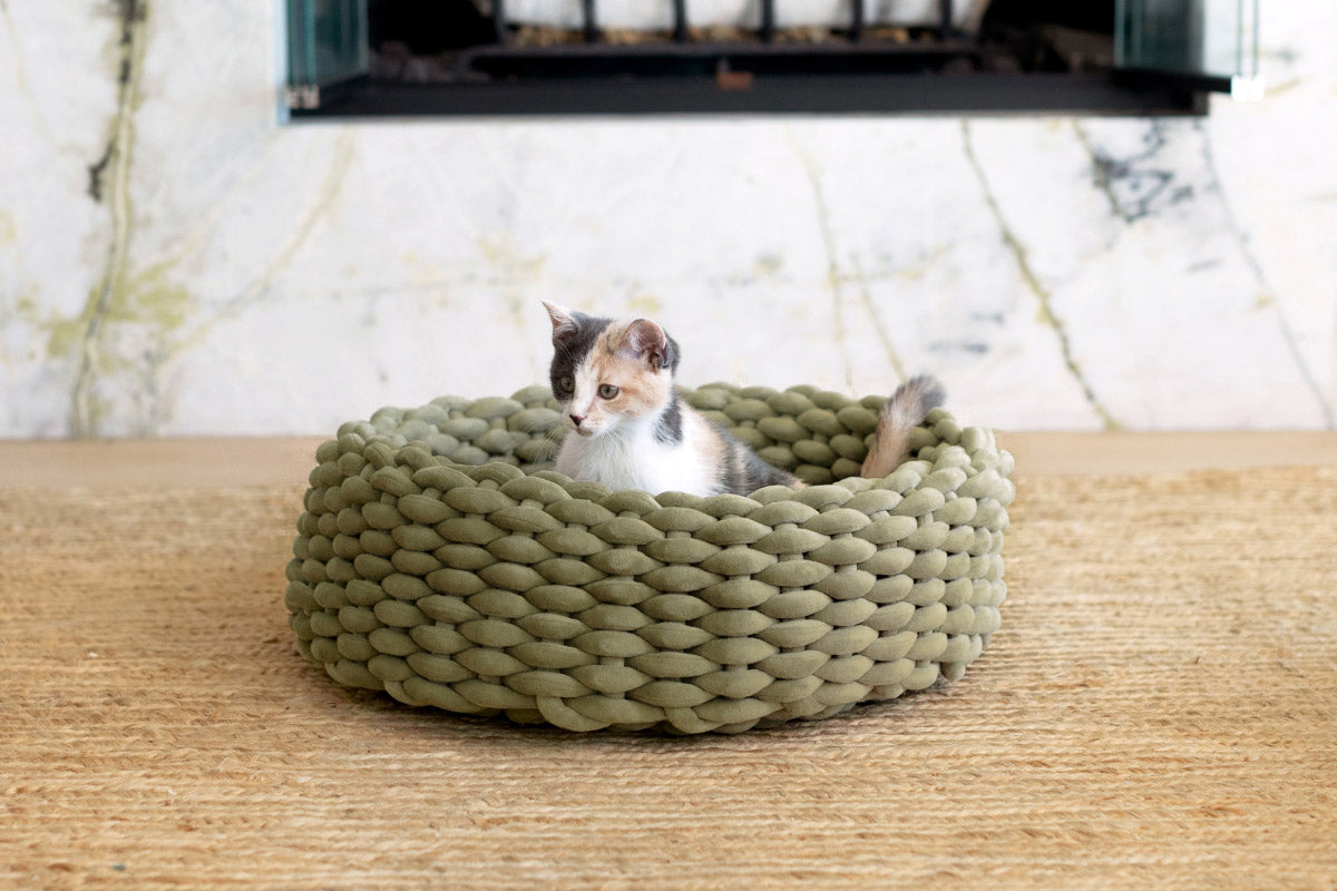 Elevated Cat Bed