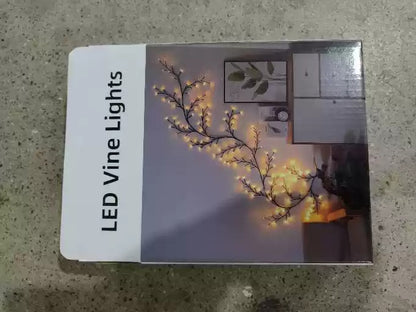 LED Vine Lights gift box