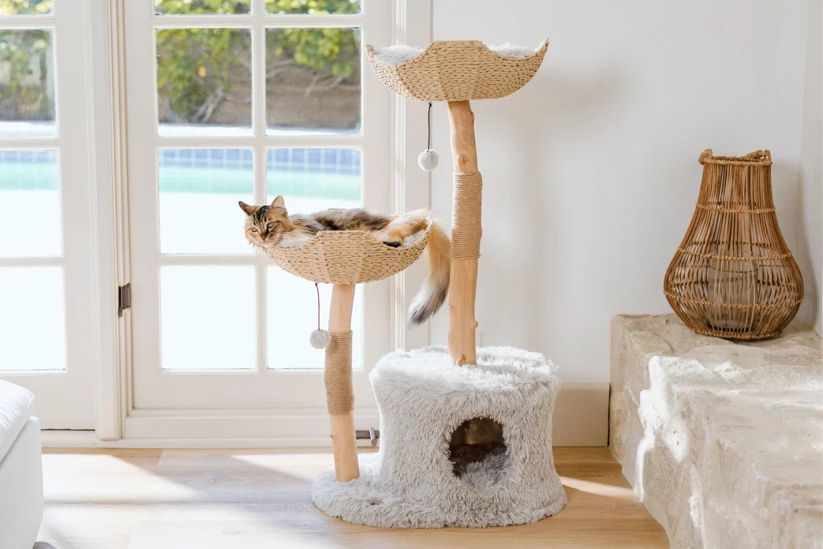 Large Cat Tree for Big Cats