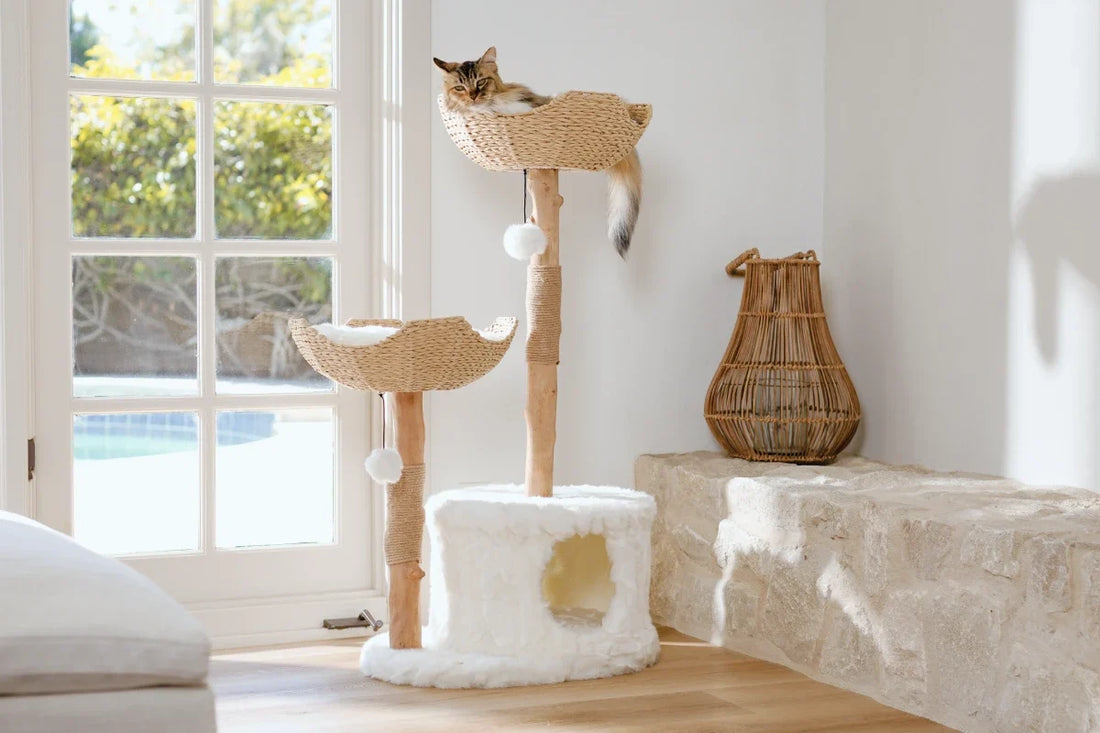 Large Cat Tree for Big Cats