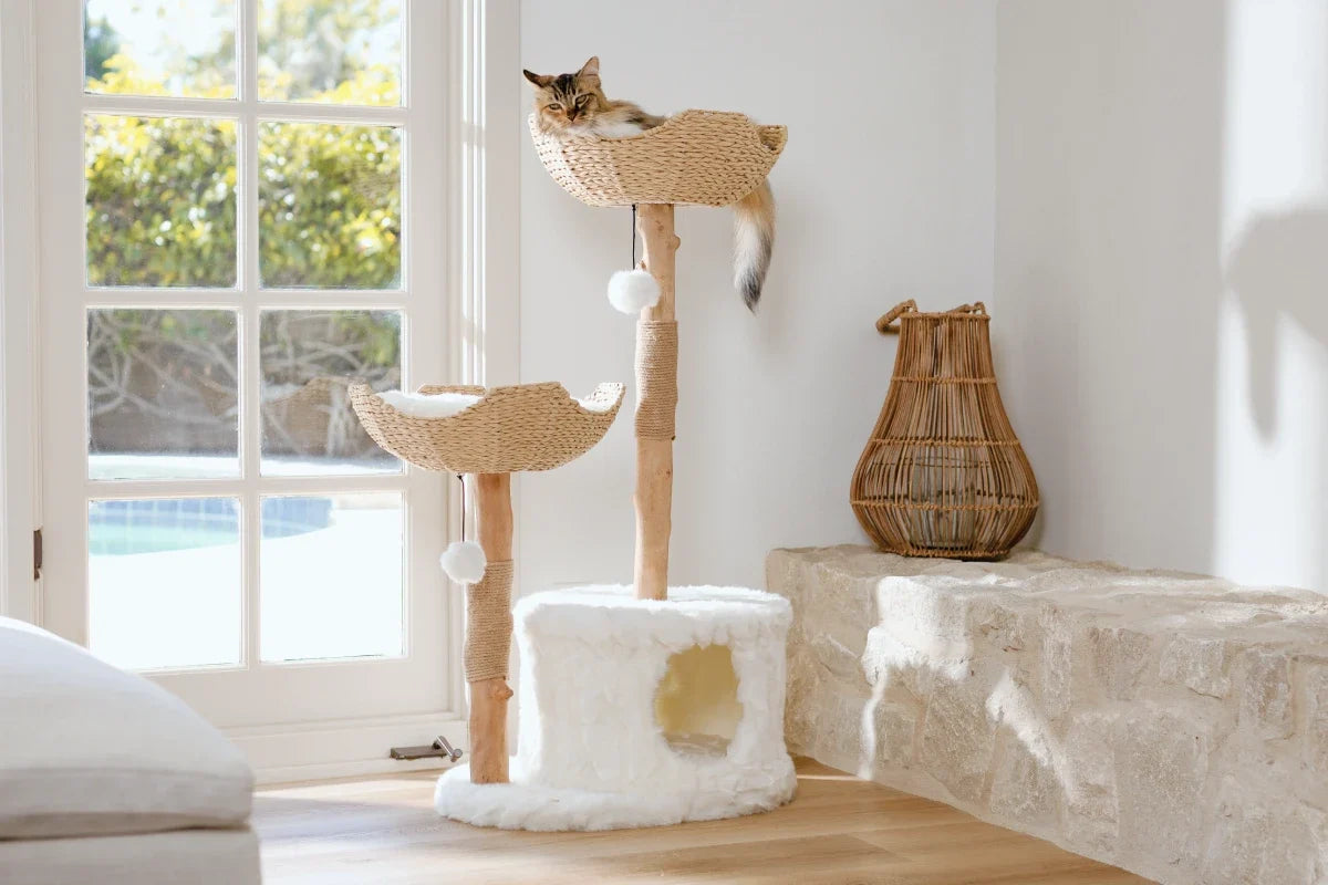 Large Cat Tree for Big Cats