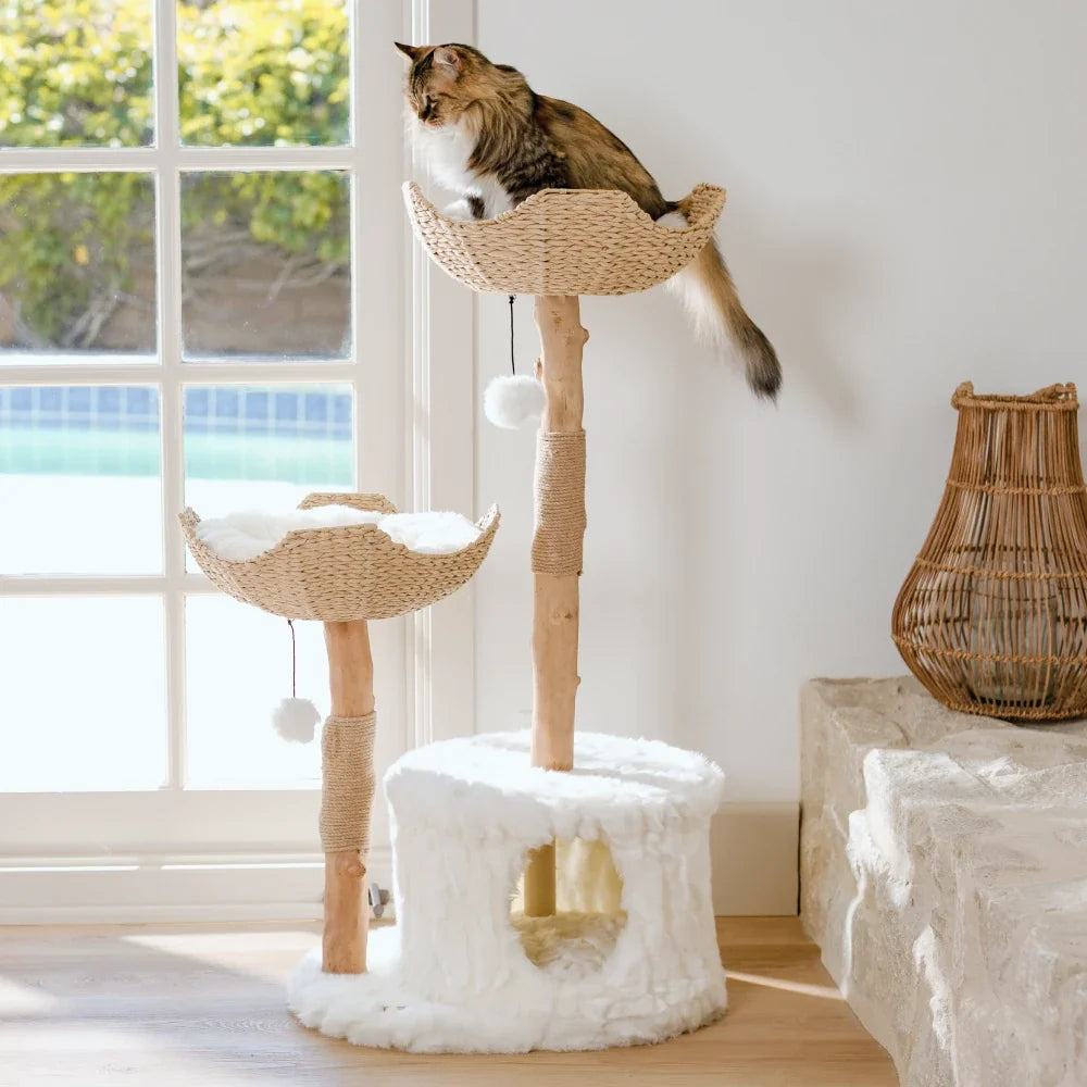 Large Cat Tree for Big Cats