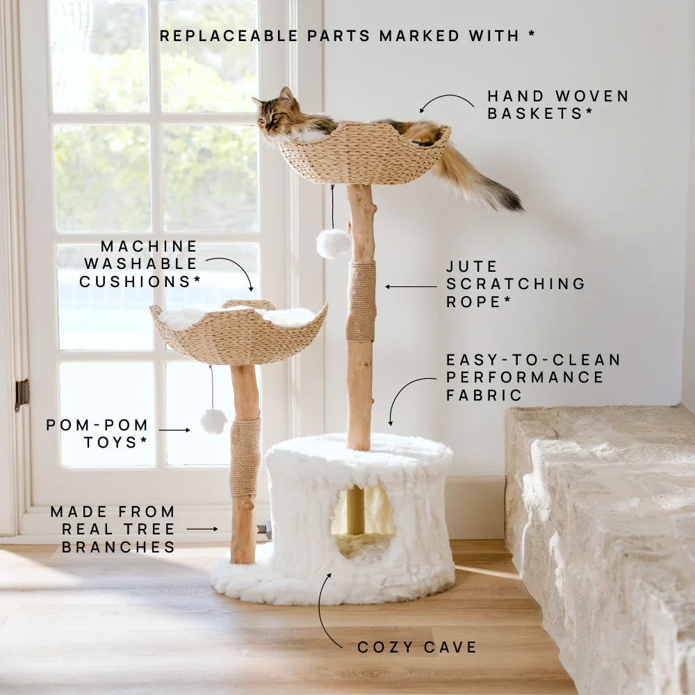 Large Cat Tree for Big Cats