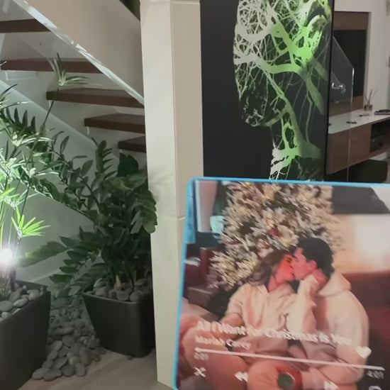 Personalized Fridge Magnet - press button to play song demo video (source: FabuLove shopfabulove TikTok)